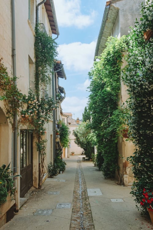 Ruelle couverte de lierre aux Jardins de Baracane, une charmante maison d'hôtes à Avignon avec une architecture de pierre historique.