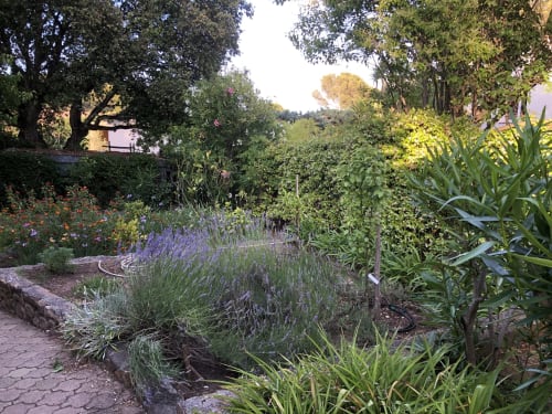 Vue luxuriante du jardin de la Villa Gecko Langlois Locations à Saint Raphaël avec lavande, fleurs et arbres