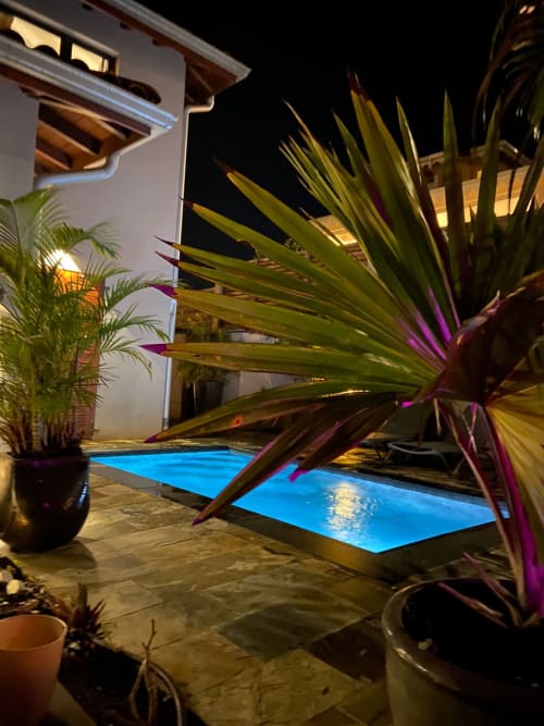 Piscine privée illuminée du gîte Les Hébergements Passion, Martinique, avec plantes tropicales et terrasse de nuit