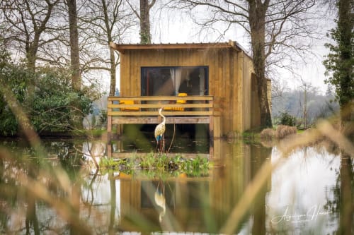 Cabane en bois sur pilotis entourée d'eau et d'arbres aux Rives du bel air, gîte avec héron blanc