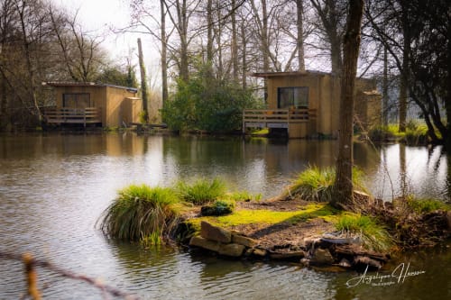 Petits chalets en bois sur pilotis au bord d'une rivière tranquille à Les Rives du bel air, gîte rustique avec charme enchanteur