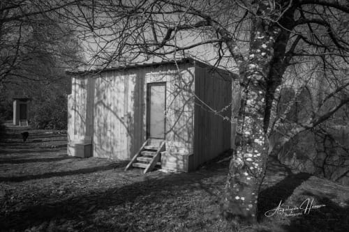 Chalet rustique en bois des Rives du Bel Air, entouré d'arbres dénudés et de paysage naturel