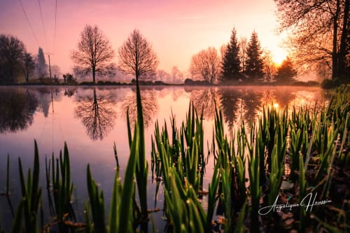 Reflet serein de l'aube sur l'eau avec roseaux verts aux Rives du bel air, une charmante maison d'hôtes française