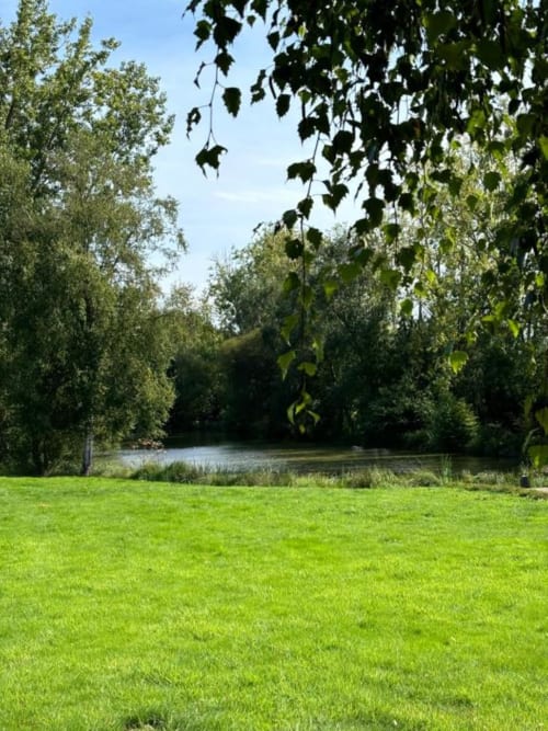 Meadow paisible au bord de l'eau aux Rives du Bel Air avec pelouse verdoyante, bouleaux et eaux calmes reflétant la nature