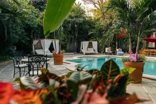 Área de piscina tropical en Villa Merida Boutique Hotel en Mérida con tumbonas, exuberante vegetación y zona de comedor