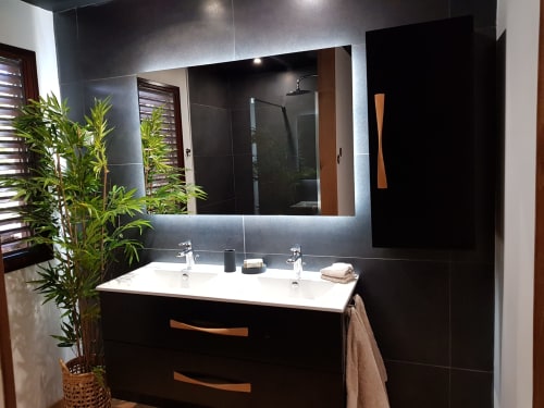Salle de bain moderne avec double vasque, miroir lumineux, carrelage noir et plante verte aux Balcons d'Oyster Pond