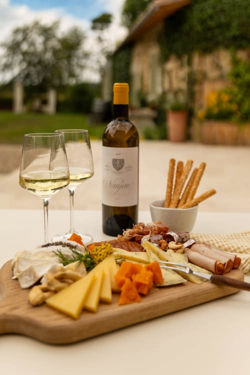Plateau de vin et charcuterie à la Maison Girardine B&B à Rauzan, France, avec jardin de campagne