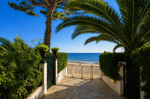Allée fermée bordée de palmiers avec vue sur la mer menant à l'appartement Le FETTOLINA à Cannes