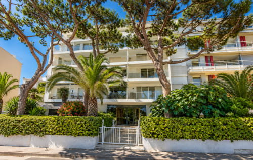 Immeuble en front de mer à Cannes avec palmiers, balcons et portail d'entrée bordé de haies
