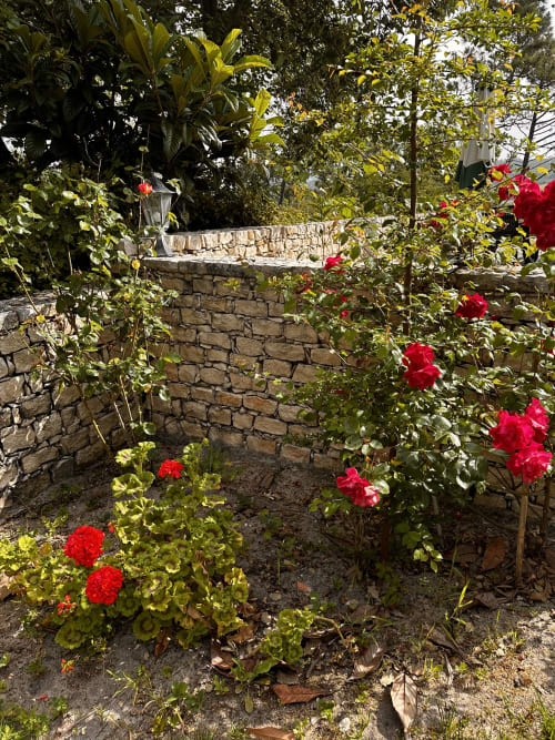 Stone wall garden at Quinta Boa Vida with vibrant red roses and lush greenery in Alcobaça