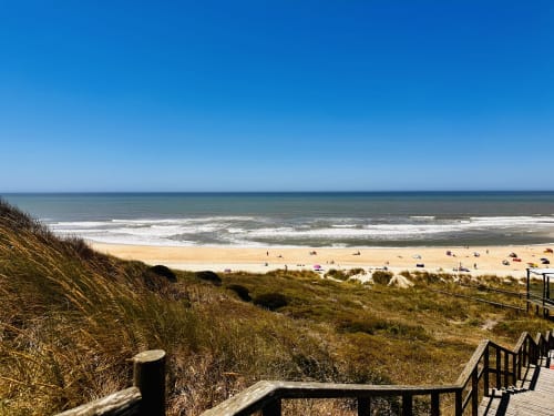 Coastal beach view with sandy dunes, golden grass, wooden boardwalk, and ocean waves under clear blue sky near Alcobaça