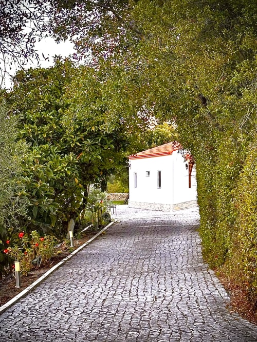 Pathway to white cottage with red roof at Quinta Boa Vida, Alcobaça, bordered by lush green hedges and gardens