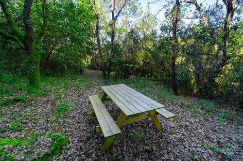 Wooden picnic table in forest garden setting at Quinta Boa Vida, Alcobaça