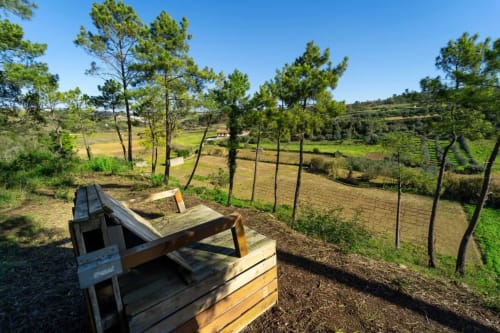Rustic wooden bench overlooking agricultural fields and pine trees at Quinta Boa Vida in Alcobaça