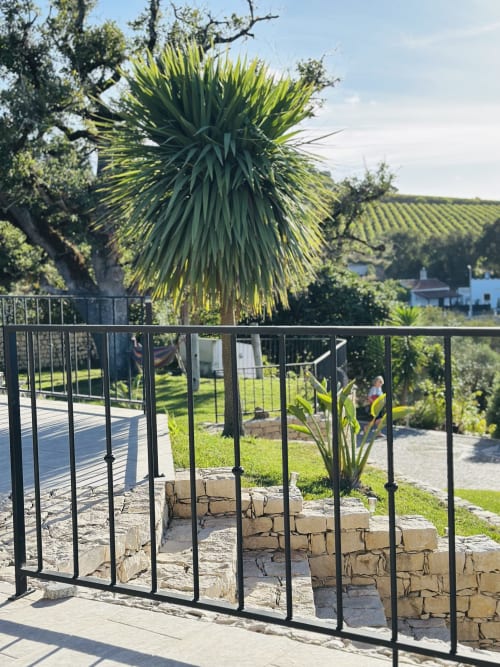 Modern black railing on stone terrace at Quinta Boa Vida villa in Alcobaça, with palm trees and vineyard views