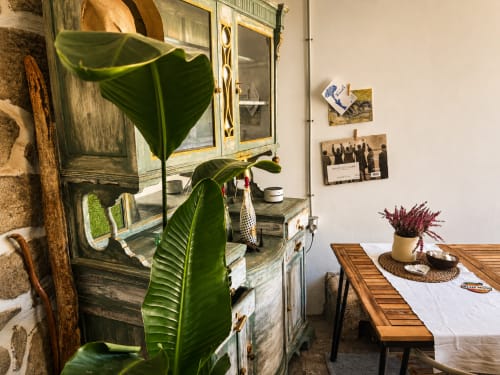 Acogedora habitación de cabaña en Holibai, Baiona, con planta verde, mesa de comedor de madera, muebles vintage y decoración costera