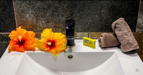 Lavabo de salle de bain luxueuse avec hibiscus orange éclatant, serviettes et équipements à Aimehome Teavaro