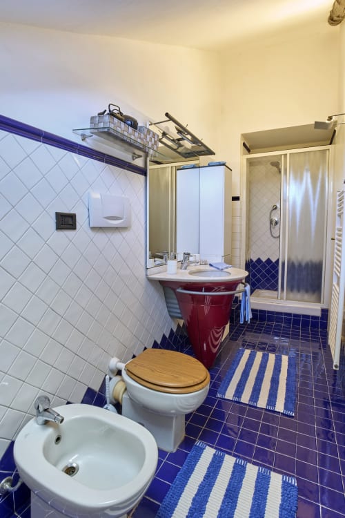Bagno moderno presso A Casa Armenia B&B a Torino con wc bianco, lavabo rosso, pavimento in piastrelle blu e box doccia