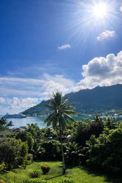 Jardin tropical de villa avec palmier dominant la baie turquoise et navire de croisière, Paopao Polynésie française
