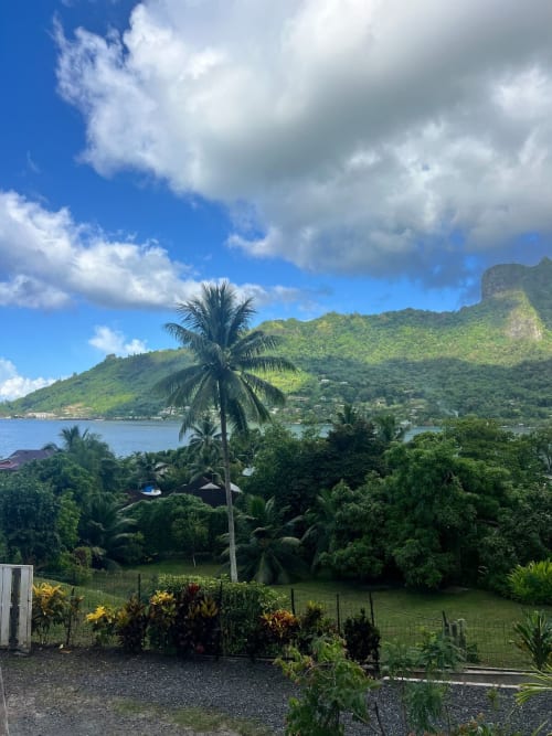 Vue tropicale de la baie de Paopao depuis la Villa Vaipipiha avec montagnes luxuriantes, palmiers et panorama