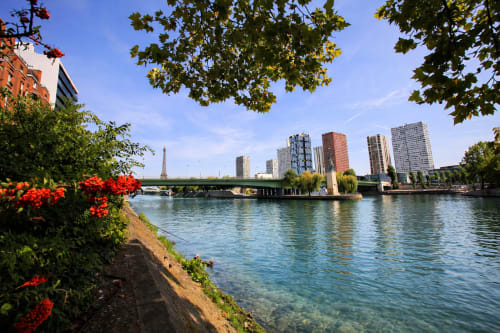 Vue pittoresque de la Seine à Paris avec la Tour Eiffel, pont historique et fleurs colorées bordant l'appartement en bord de fleuve