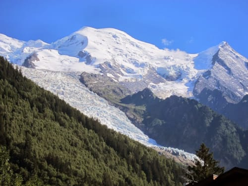 Montagnes alpines enneigées avec glaciers et pentes boisées sous un ciel bleu