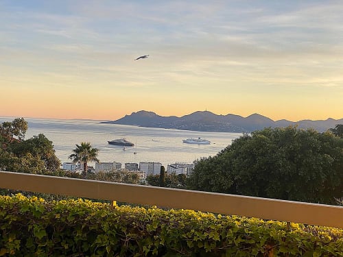 Vue côtière de Cannes avec navires de croisière au coucher du soleil, montagnes en face sur la baie, palmiers et fleurs
