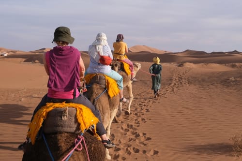 Touristes à dos de chameau dans le désert du Sahara près de Fès, Maroc au Riad Dar Tahri