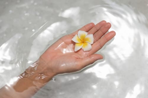 Main tenant une fleur de frangipanier blanc dans l'eau au Riad Dar Tahri, Fès