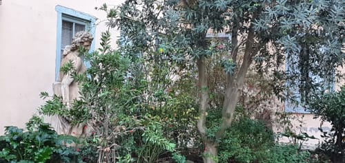 Jardin luxuriant avec arbres matures et murs couverts de lierre à l'appartement Mi Casa Es Su Casa à Carcassonne