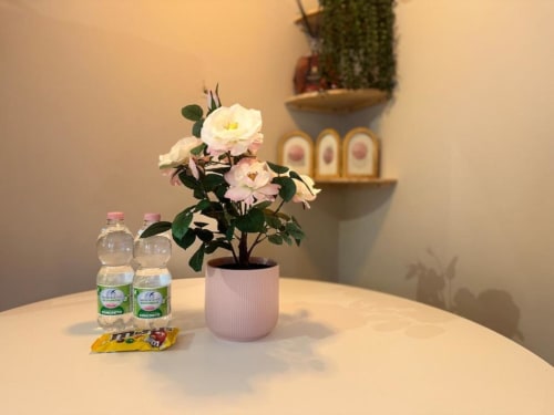 Rose rosa in vaso di ceramica con bottiglie d'acqua su tavolo nell'appartamento di Milano vicino al Duomo e ai Navigli