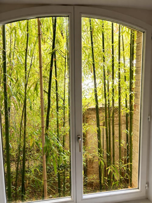 Vue du jardin de bambous depuis la fenêtre de la chambre twin à Au Bon Gîte B&B à Senones, France