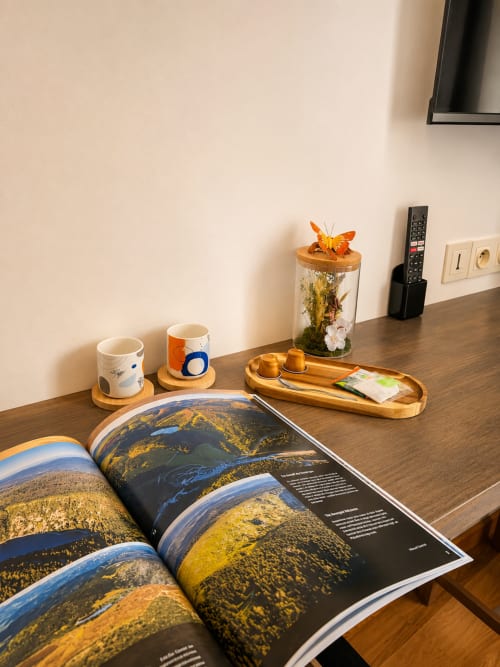Bureau dans la chambre à deux lits d'Au Bon Gîte, Senones, avec magazine de voyage ouvert, objets de décoration et télécommande