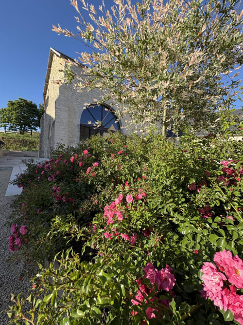 Entrée du jardin du Domaine Des Hêtres avec roses roses et plantes fleuries sous un ciel bleu