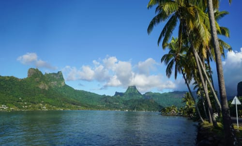 Lagon tropical aux montagnes verdoyantes, cocotiers et eaux cristallines à Aimehome en Polynésie française