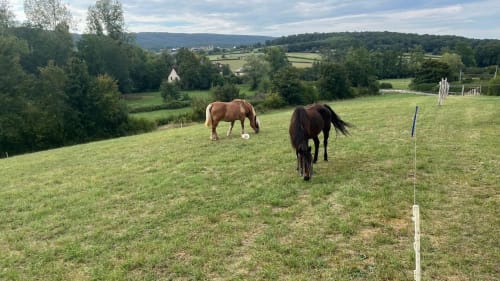 Zwei Pferde grasen auf einer üppigen Weide in La Maison de la Colline, einem Landgut in Vers, Frankreich