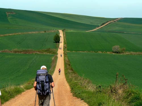 Peregrinos caminhando por trilha de terra entre campos verdes ondulantes perto do Sleep & Go em Esposende, Portugal