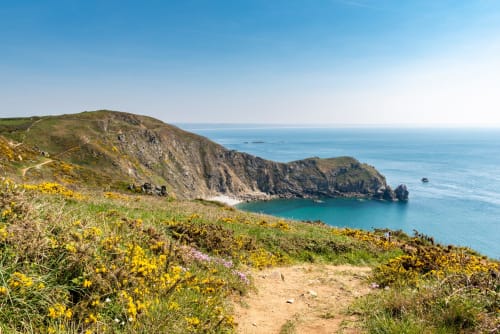 Falaises côtières aux eaux turquoise et fleurs sauvages près de la Normandie, France