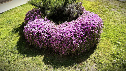 Splendidi fiori viola in fiore nel giardino condiviso di A Mare Case Vacanze, Valledoria