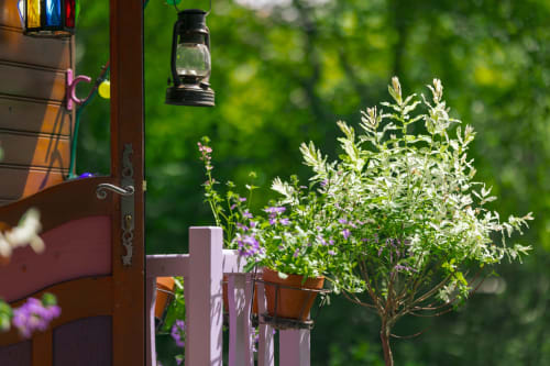 Vue du jardin de la Roulotte LA VERDINE aux Gîtes du Rouard à Camiers, avec lanterne suspendue, plantes en pots et verdure luxuriante