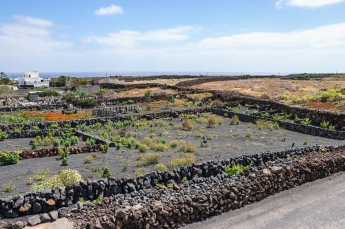 Paisaje volcánico en Villanueva, Lanzarote con muros de piedra, vegetación y vistas al océano en Mala, Islas Canarias