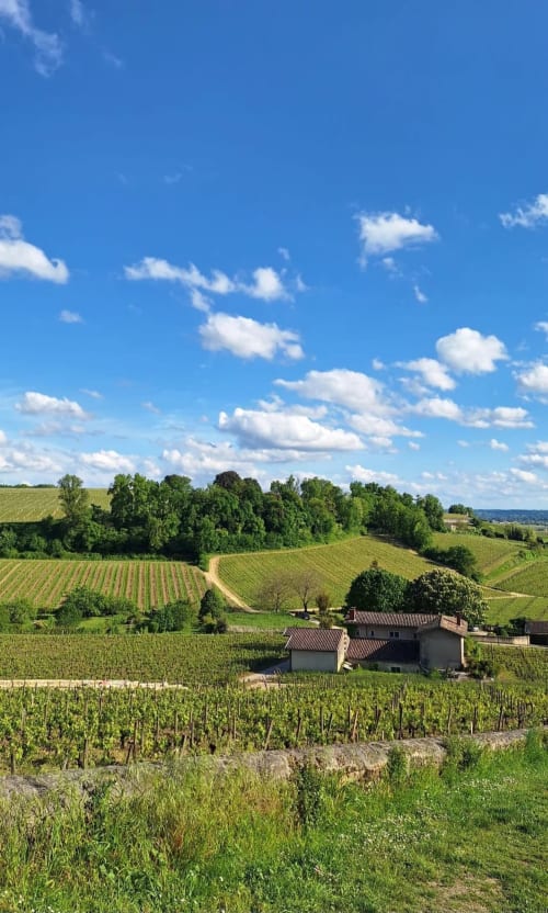 Vignobles ondulants et maison en pierre à La Maison du Clocher, gîte en Bordeaux Saint-Emilion