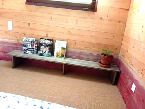 Intérieur de tiny house au gîte de Chaparon avec murs en bois, étagère-banc, magazines et plante en pot