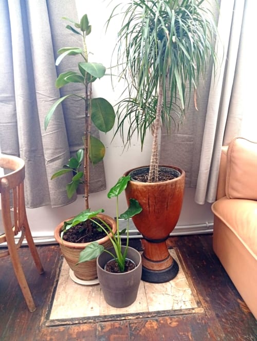 Plantes d'intérieur en pot dans la chambre Le refuge de Chaparon au gîte de Chaparon, Lathuile, avec vue sur les montagnes
