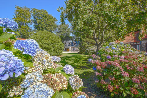 Les hortensias en fleur encadrent les jardins soignés du Clos Céleste à Ecrainville, France
