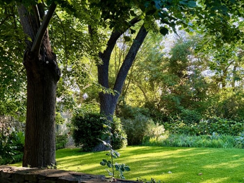 Jardin luxuriant aux arbres centenaires du gîte Domaine de Montlaur, Val-de-Dagne, France