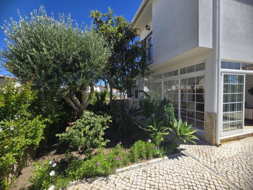 Modern villa garden in Sesimbra with olive tree, flowering plants, paved patio, and glass doors overlooking the outdoor space