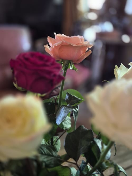 Détail floral au Domaine de Labrousse, Maison d'hôtes en Périgord, Agonac Dordogne