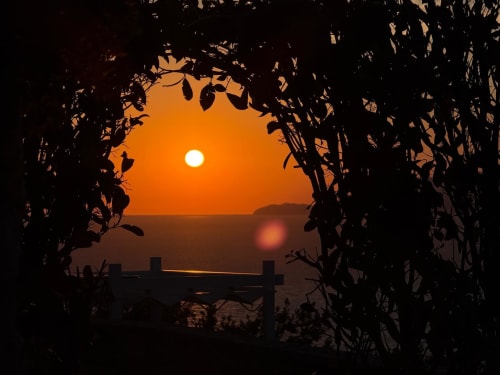 Sunset view through vine-framed archway overlooking Anacapri sea with wooden fence silhouette