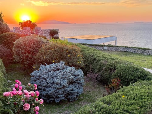 Sunset garden view at Villa D'Alessandro in Anacapri with pink roses, blue shrubs, sea view, and private terrace overlooking